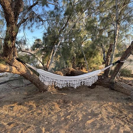 Casa Agave: Comfy Joshua Tree Cottage With Free Breakfast Bar Buitenkant foto