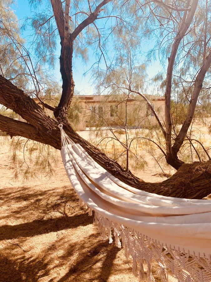 Casa Agave: Comfy Joshua Tree Cottage With Free Breakfast Bar Buitenkant foto