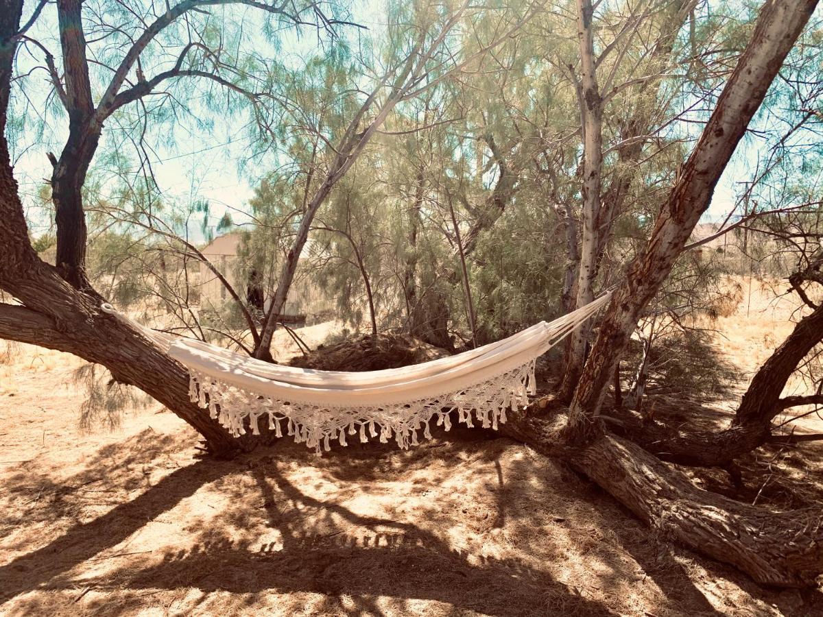 Casa Agave: Comfy Joshua Tree Cottage With Free Breakfast Bar Buitenkant foto
