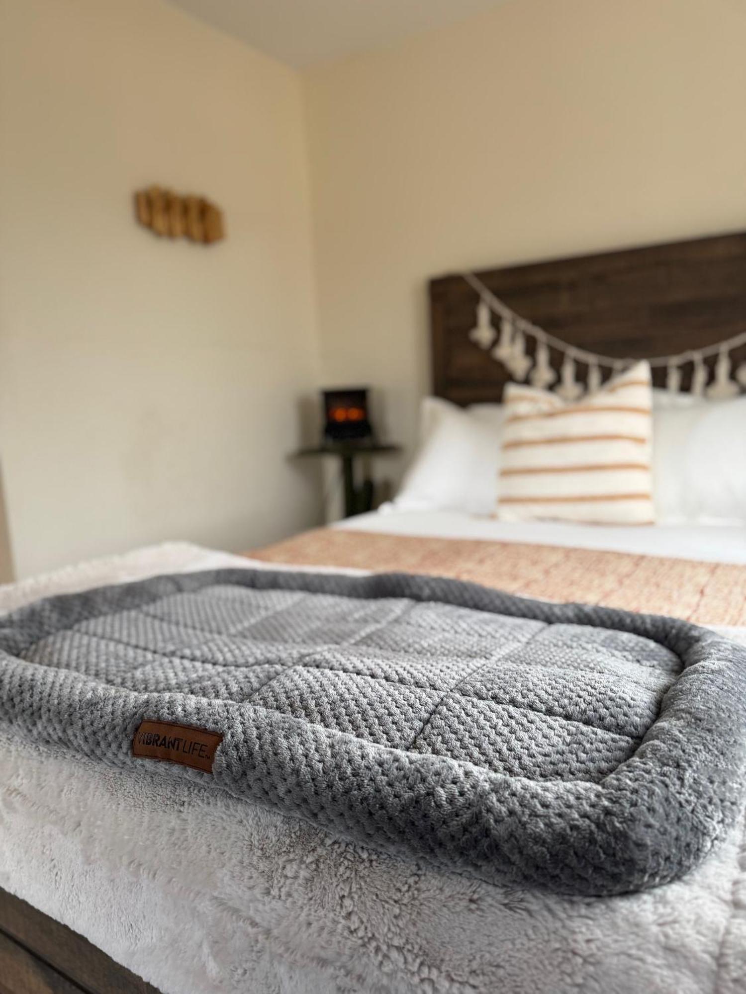 Casa Agave: Comfy Joshua Tree Cottage With Free Breakfast Bar Buitenkant foto