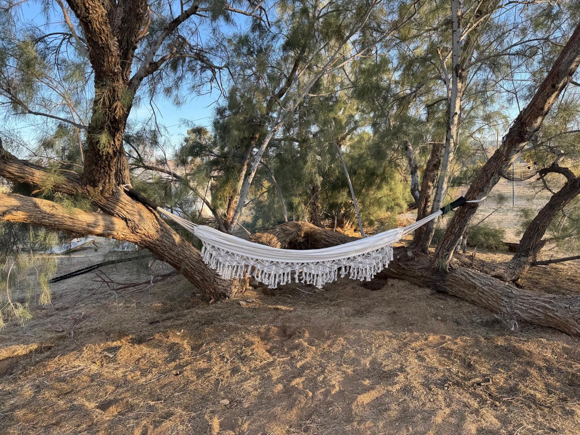 Casa Agave: Comfy Joshua Tree Cottage With Free Breakfast Bar Buitenkant foto